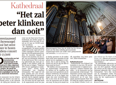 schyvenorgel