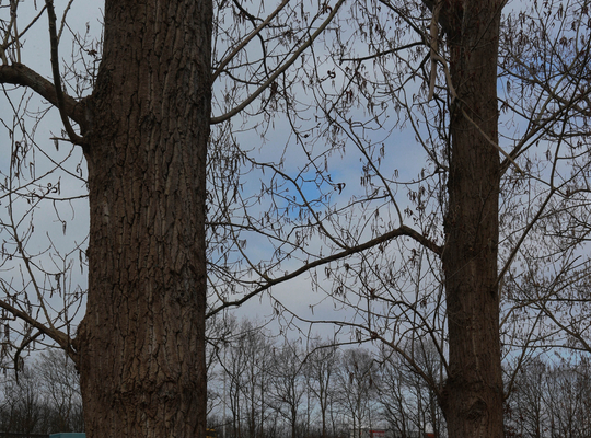 Vrijbroekpark Vrijbroekpark